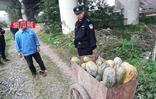 文安吃瓜事件网红,网红引发的网络狂欢与反思 第3张 文安吃瓜事件网红,网红引发的网络狂欢与反思 第3张