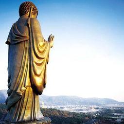 大佛最新爆料视频大全,揭秘幕后真相，带你走进事件核心  第1张