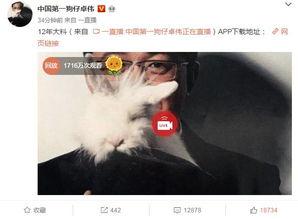 网友视频事件大爆料,网友视频事件大爆料全记录 第1张 网友视频事件大爆料,网友视频事件大爆料全记录 第1张