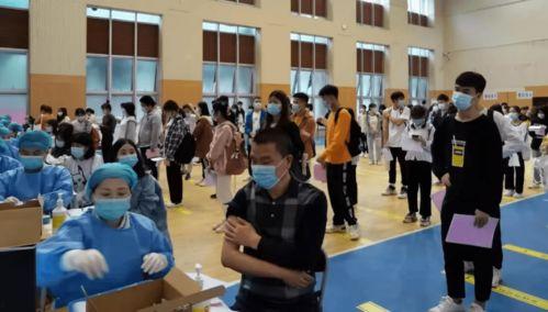 中集产城最新爆料消息,揭秘未来产业布局与创新发展 第2张 中集产城最新爆料消息,揭秘未来产业布局与创新发展 第2张